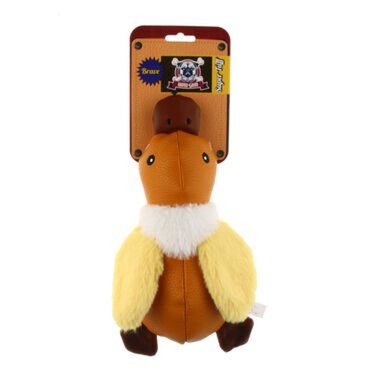 Wild duck