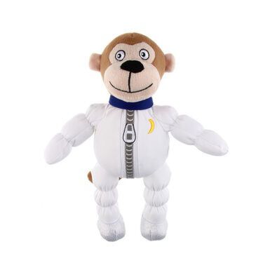 Mono astronauta