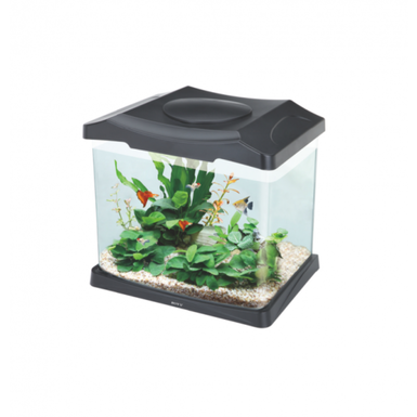 Kit: acuario curvo. sistema de filtración e iluminación 22 LT