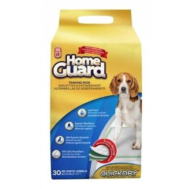 Carpeta Orientadora Pad - Medium