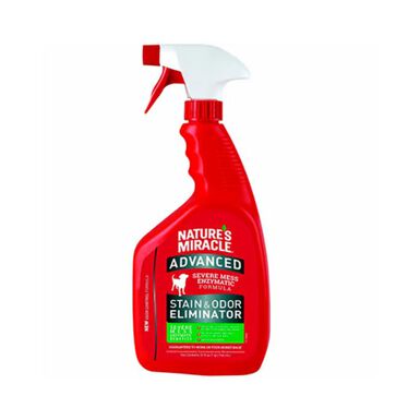 Stain & Odor Remover Spray
