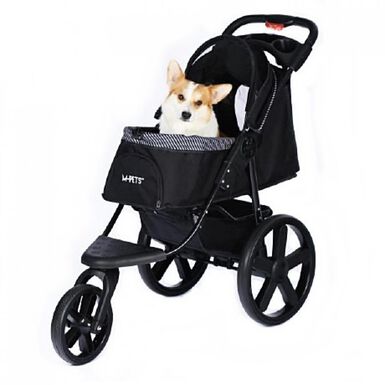 Coche pet aventura