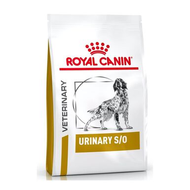 Royal Canin Alimento Seco Perro Adulto Urinary S/O