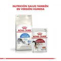 Royal Canin adulto Indoor alimento para gato, , large image number null