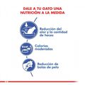 Royal Canin adulto Indoor alimento para gato, , large image number null