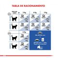 Royal Canin adulto Indoor alimento para gato, , large image number null