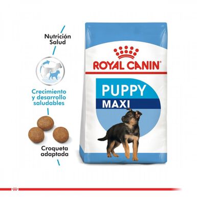 Royal Canin Cachorro Maxi Puppy alimento para perro