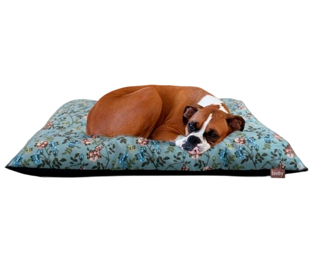 Cama