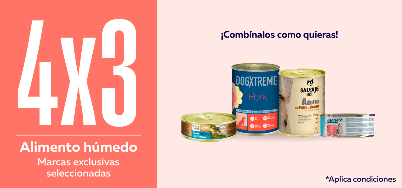 Alimento húmedo