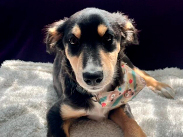 Lupita