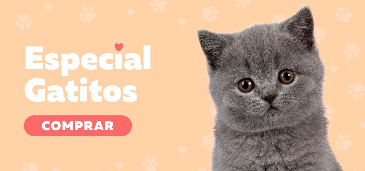 Para tu gatito Para tu gatito