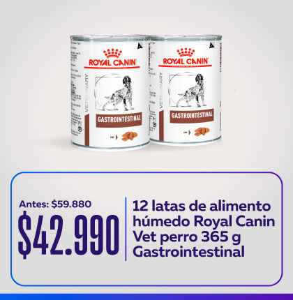 Húmedo Royal Canin Húmedo Royal Canin