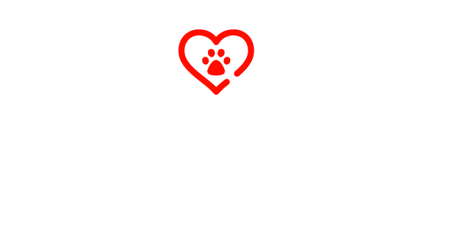 adopta una mascota