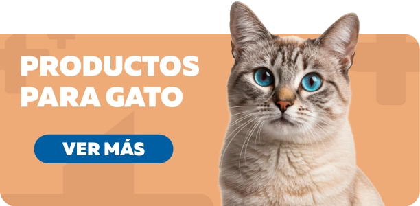 Gato