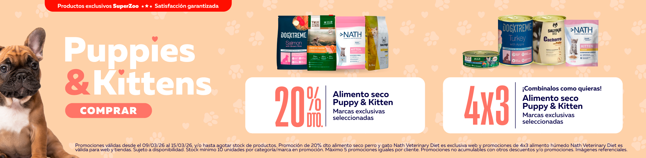 masxmenos kitten y puppy