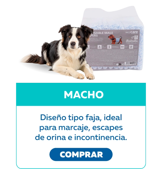 Pañales macho