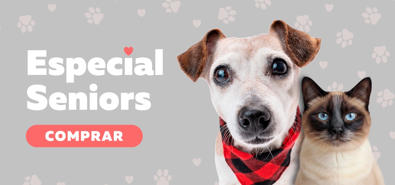 Para tu fiel amigo Para tu fiel amigo