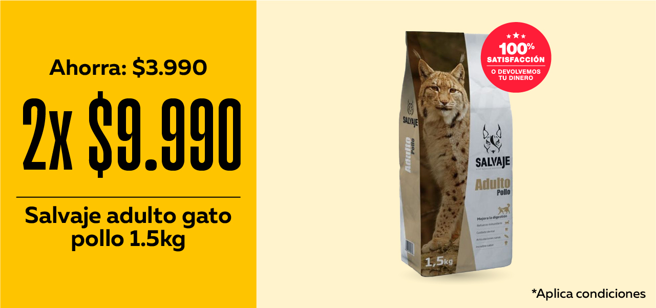 Salvaje Gato