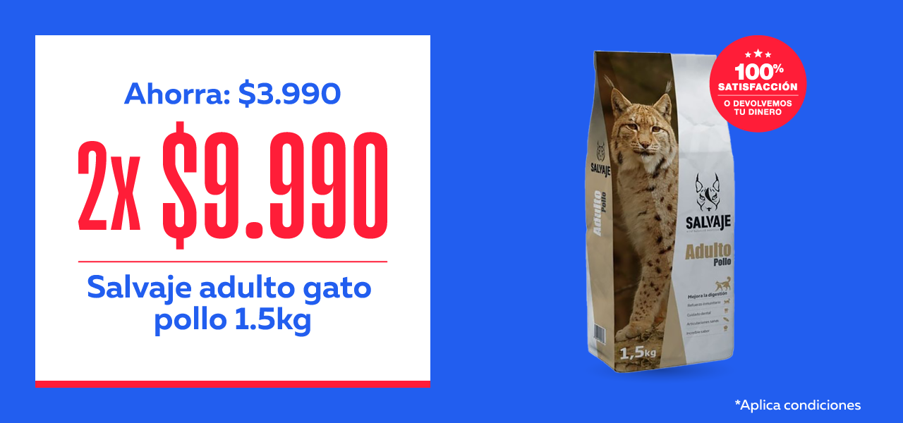 Salvaje Gato