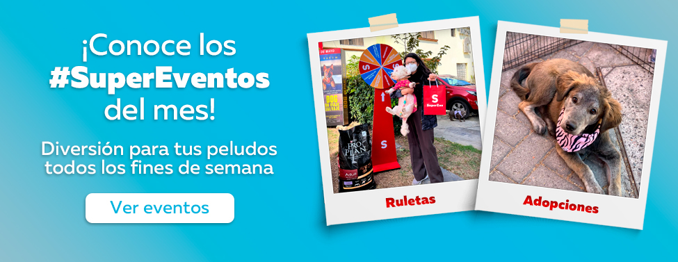 Super Eventos