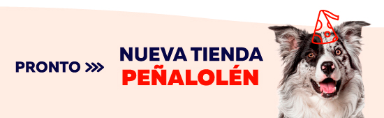 Tiendas Nuevas Tiendas Nuevas