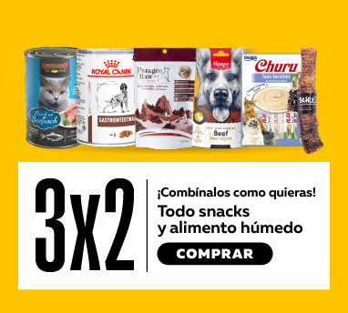 Alimento húmedo para perro