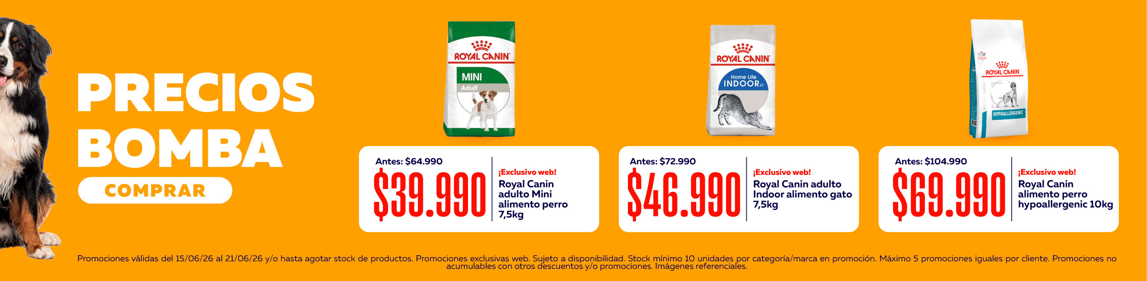 precios bomba