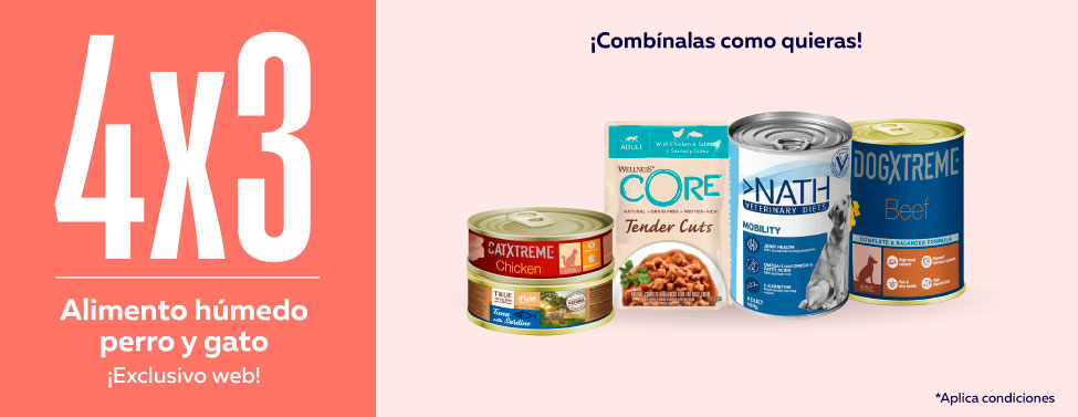 Alimento húmedo Alimento húmedo