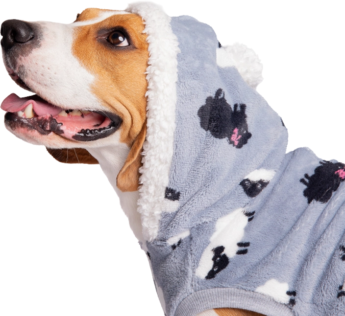 Perro SuperZoo