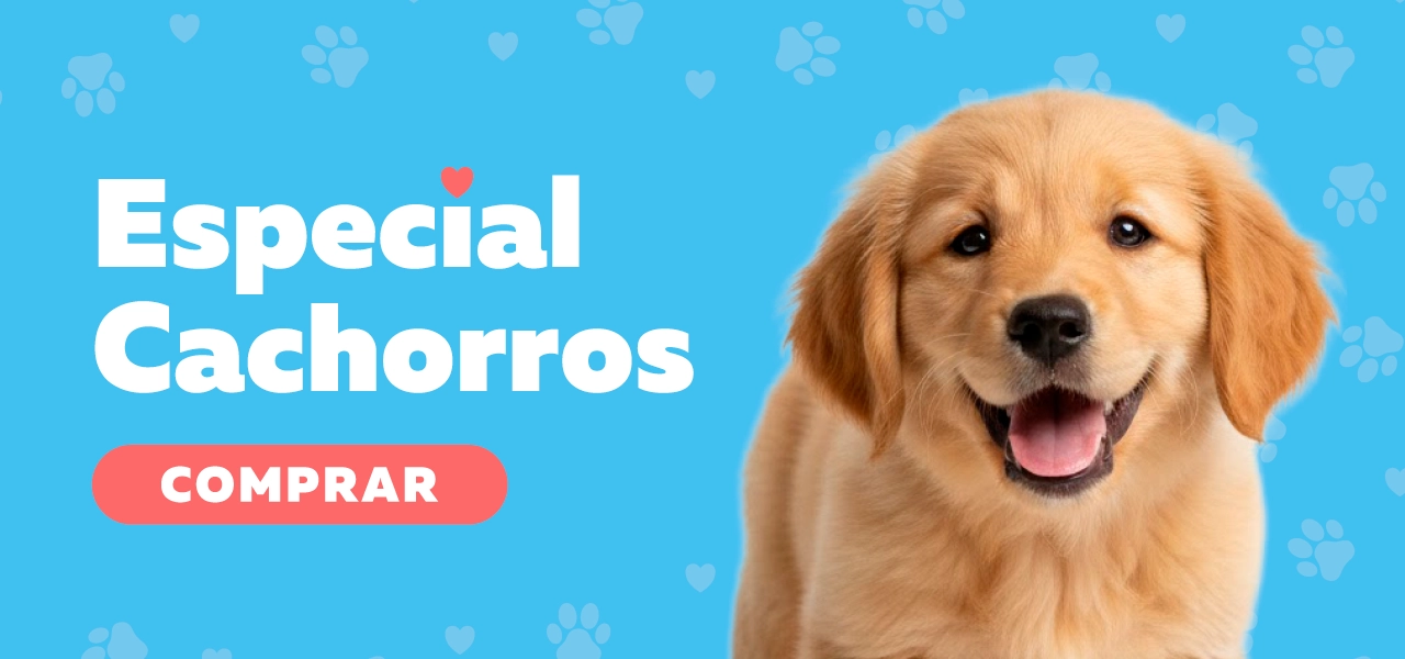Para tu cachorrito Para tu cachorrito