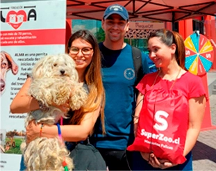 Adopción