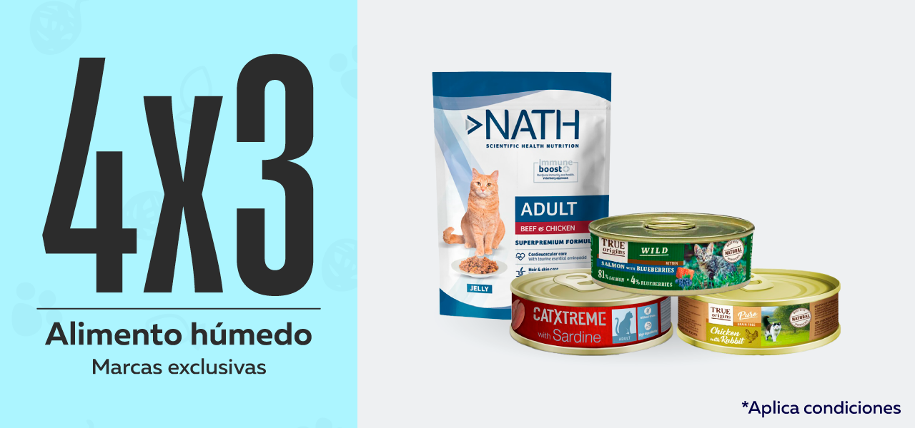 Alimento húmedo