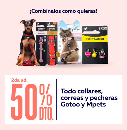 Correas
