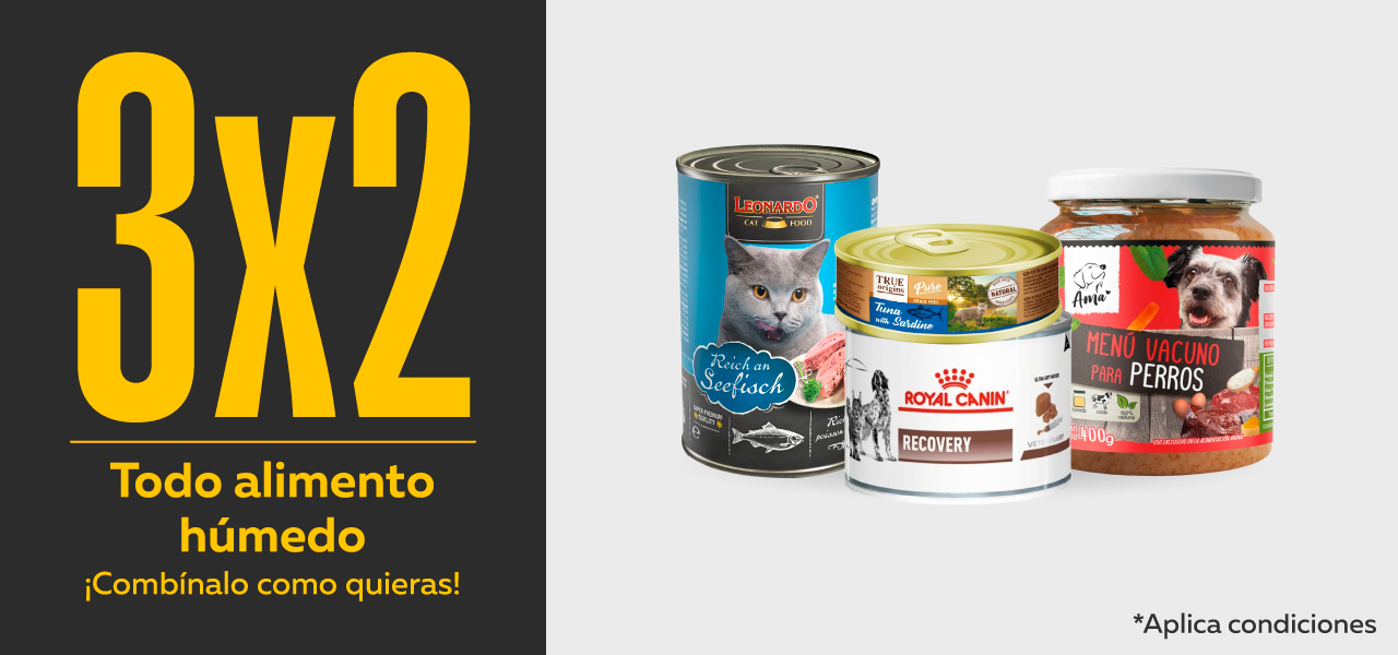 Alimento húmedo