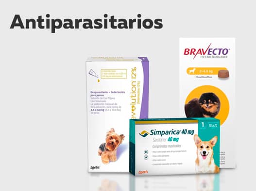 Antiparasitarios