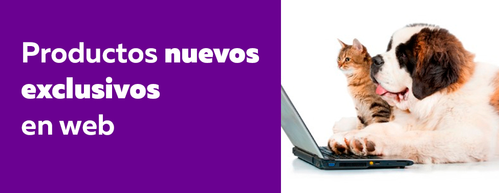 Productos exclusivos web