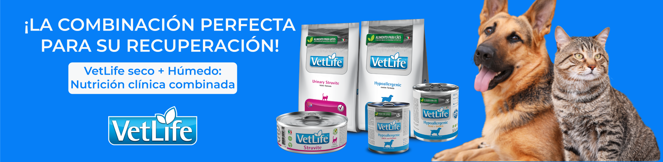 Invierno Vetlife