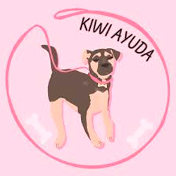 Kiwi Ayuda