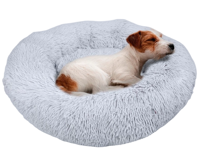 Cama