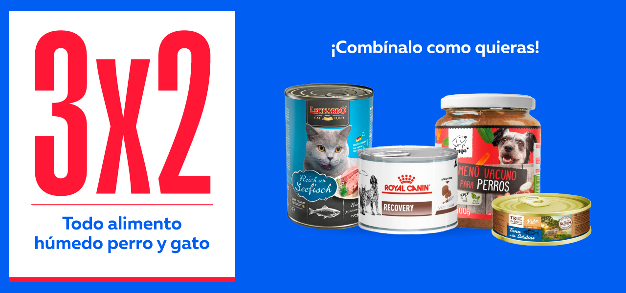 Alimento húmedo