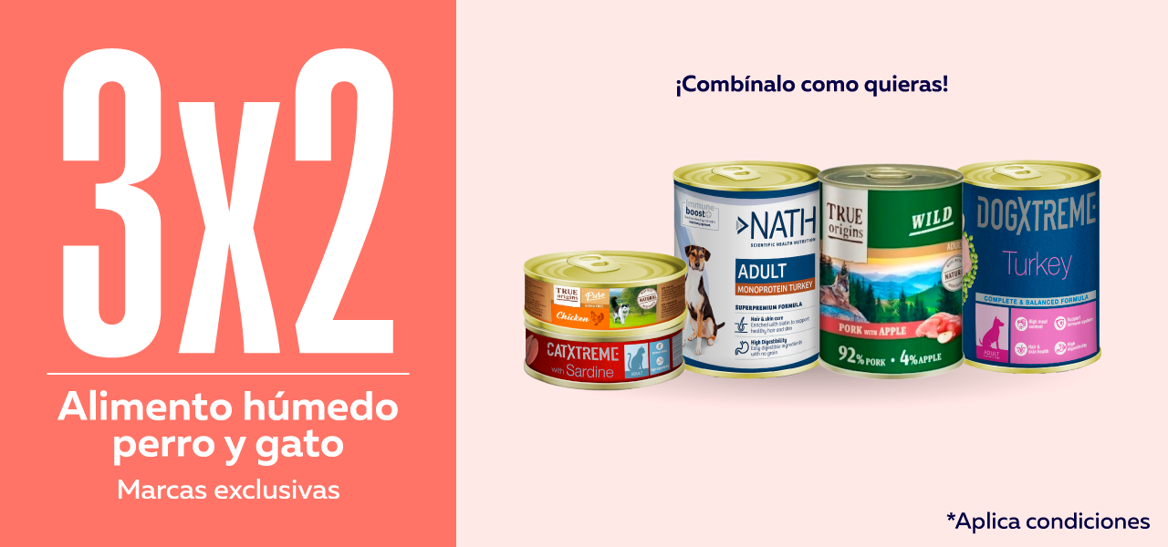 Alimento húmedo