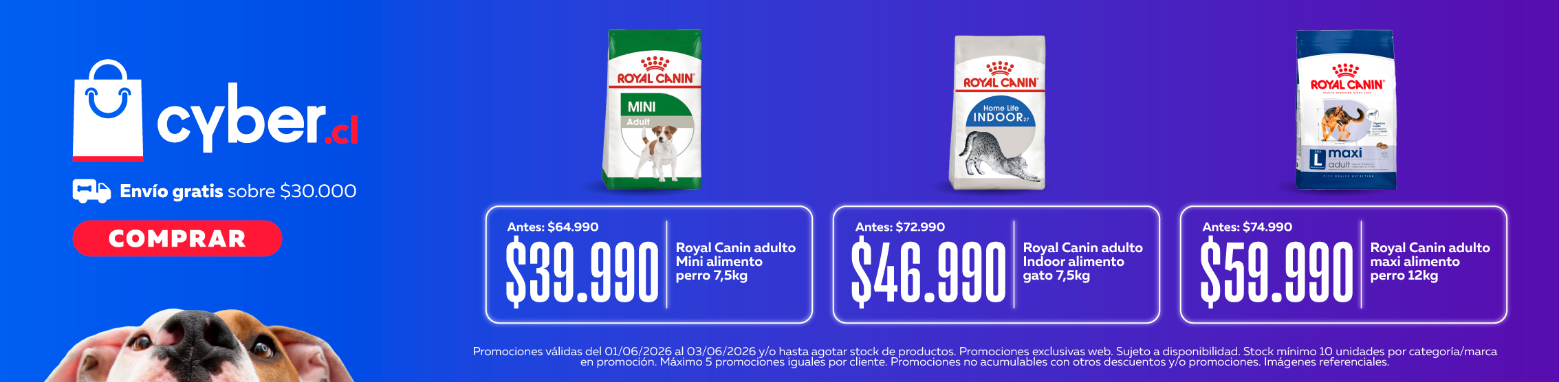 Cyber Royal Canin
