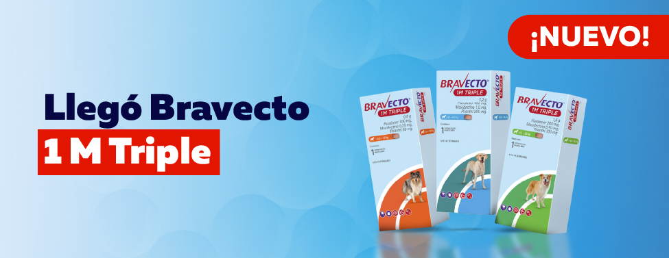 Bravecto Bravecto
