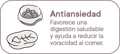 Comederos Antivoracidad