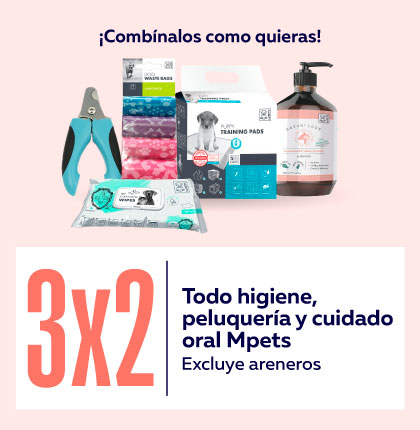 Higiene
