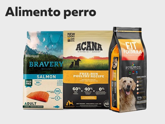 Cuáles son los mejores carritos para perros? - Tiendanimal