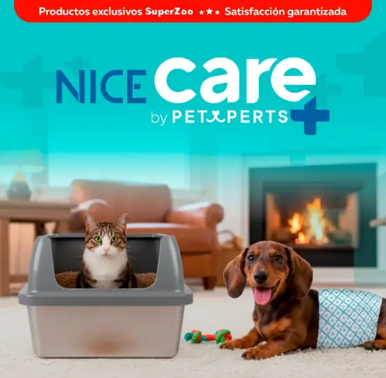 Nice Care