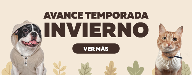 Invierno