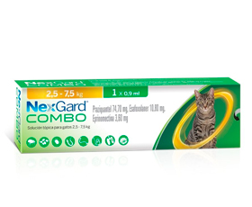 Nexgard Combo L Cat