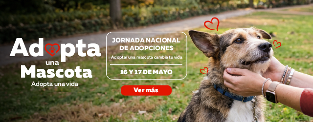 Adopción